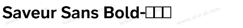 Saveur Sans Bold字体转换